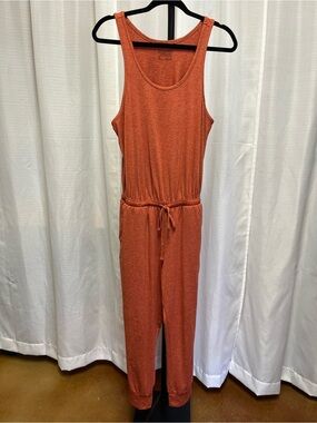 Patagonia Seabrook Jumpsuit in Sienna Clay | size small